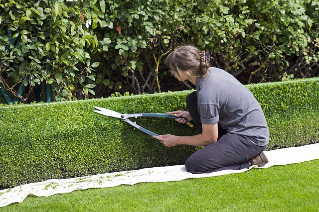 W jakie narzędzia należy się zaopatrzyć do pracy w ogrodzie?