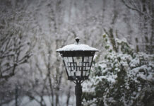 Najważniejsze informacje o ogrodach zimowych